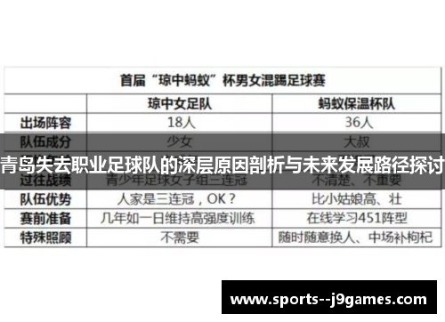 青岛失去职业足球队的深层原因剖析与未来发展路径探讨 青岛失去职业足球队的深层原因剖析与未来发展路径探讨