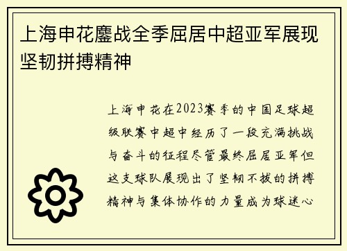 上海申花鏖战全季屈居中超亚军展现坚韧拼搏精神 上海申花鏖战全季屈居中超亚军展现坚韧拼搏精神